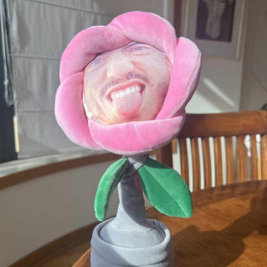Customized Plush Singing, Dancing & Talking Electric Toy