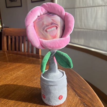 Customized Plush Singing, Dancing & Talking Electric Toy
